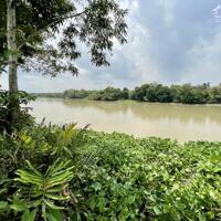 Bán vườn cà na, bên sông SG tại xã An Phú, Củ Chi, TPHCM, 5.9 tỷ, 2860 m2 - có 90m2 thổ cư