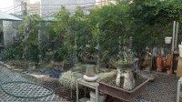 Hàng Ngộp. Siêu Rẻ. Đất Lô Góc 2 Mặt Tiền Đường Số 5 Nguyễn Đôn Tiết Bình Trưng Đông Quận 2