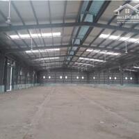 Cho Thuê Kho Xưởng Sx, Làm Kho Hàng 11.000M2, 15.000M2, 16.000M2... Tại Huyện Bến Lức, Tỉnh Long An