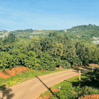 Bán 238 m2 đất tại Phúc Thọ, Lâm Hà nhiều tiện ích