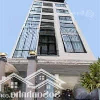 Chủ Nhà Cần Sang Nhượng Lại Toà Căn Hộ Hẻm Ô Tô Trần Quang Khải - Khu Phố Tây - Tttp Nha Trang