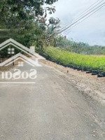 Đất Thổ Cư, Đồng Tiến, Đồng Phú, Bình Phước, Giá Bán 2,95 Tỷ, Diện Tích 1200M2, Đẹp, Nhiều Tiện Ích