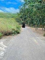 Đất Thổ Cư, Đồng Tiến, Đồng Phú, Bình Phước, Giá Bán 2,95 Tỷ, Diện Tích 1200M2, Đẹp, Nhiều Tiện Ích