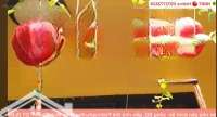 Bán Nhà 5,7X19M Tại Phường Hiệp Bình Chánh Thủ Đức, 8,9 Tỷ