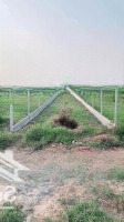 Bán Gấp Lô Đất Mặt Tiền Nhựa Bàu Sen, Gò Dầu. Gần Bv Xuyên Á