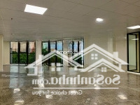 Tòa Nhà Mới Xây Căn Góc 2 Mặt Tiền Trần Não An Phú Quận 2