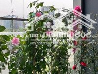 Đâu Là Căn 2 Phòng Ngủcó Giá Bán Tốt Nhất. Chủ Nhà Thiện Chí Bán Chỉ Với 14.3Tỷ Đã Bao Gồm Nội Thất