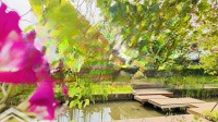 Duy Nhất Căn Biệt Thự Đơn Lập Waterpoint 225M2. View Kênh Đào Giá Tốt Nhất Dự Án 9,9 Tỷ
