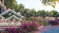 Sở Hữu Căn Ngay Nhà Phố Blue Zones Onsen Tại Ecovillage Sài Gòn, Với 6.2 Tỷ