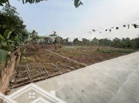 Bán Đất Hiếm Tại Xã Châu Giang, Duy Tiên, Hà Nam, 1,082 Tỷ, 77M2
