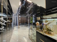 Cho Thuê Căn Hộ Penthouse 3 Phòng Ngủ Gần Sân Bay Full Nội Thất Cao Cấp Phong Cách Luxury