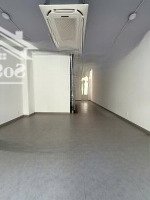 Chính Chủ Cho Thuê Nhà Phố Sala 100 Triệu/Th, Ảnh Thật 100%, Nhà Hoàn Thiện Mới, Thang Máy, Máy Lạnh