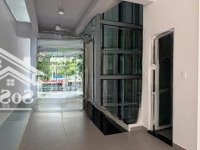 Chính Chủ Cho Thuê Nhà Phố Sala 100 Triệu/Th, Ảnh Thật 100%, Nhà Hoàn Thiện Mới, Thang Máy, Máy Lạnh