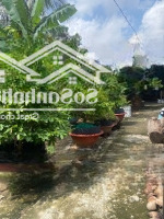 Hiếm Gò Đen, Bán Đất Tặng Nhà,Diện Tích7.2M X 40M, 292M2, Đường Xe Hơi, Cách Chợ Vài Bước Chân