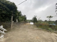 Bán Lô Gần 1000M2 Thôn Quế, Hướng Đạo, Sát Sườn Kcn Tam Dương 1 Giá Rẻ Liên Hệ: 0987673102