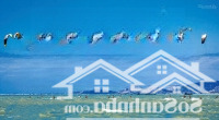 Bán Đất Thổ Cư 277M Cách Biển 200M, Nằm Trong Khu Lướt Ván Diều Mỹ Hòa Cơ Hội Đầu Tư Sinh Lời