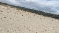 Bán Đất Thổ Cư 277M Cách Biển 200M, Nằm Trong Khu Lướt Ván Diều Mỹ Hòa Cơ Hội Đầu Tư Sinh Lời