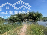 Cách Rmit 7 Phút, Đất 6.100M2 Mặt Tiền Đào Sư Tích 6.99 Tr/M2 Tl
