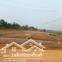 Bán Đất Thanh Sơn Lương Sơn Hoà Bình Chỉ 2Xxx Tr / M Cho Các Nhà Đầu Tư 0929656188
