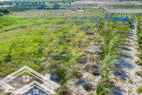 Bán Mặt Tiền Liên Huyện Gần 6000M2 Giá Tốt