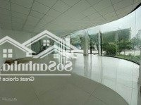 Cho Thuê Mặt Bằng Kinh Doanh Đẹp Cầu Giấy Mặt Phố Hoàng Quốc Việt Diện Tích 100M2X6 Tầng + 1 Tum
