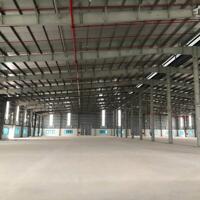 Cho thuê nhà xưởng mới xây dựng tại huyện Tứ Kỳ - Hải Dương