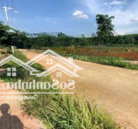 Bán 81M2 Thổ Cư Hắc Dịch, Đường Xe Hơi - Sổ Sẵn, Sang Tên