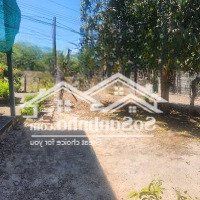 Bán Đất Mặt Tiền Ql55 Cách Biển 1Km Giá Ngợp Tân Phước Tx Lagi