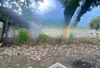 Đất Sổ Riêng Đường Nhà Nướcdiện Tích6X38M Đường Thông, Khu Dân Cư Đông Đúc Ngay Hắc Dịch