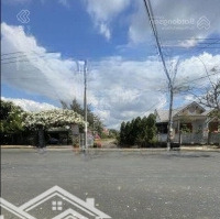 Nay Chủ Hạ Sát Đáy Thị Trường Nên E Lên Lại