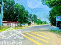 Cụm 10 Nền Đất Biển Liên Hương, Có Sổ Hồng, Đường Qh:29M, Kề Cảng, Gần Kcn, Giá Đầu Tư.