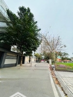 Bán Biệt Thự Mặt Phố Tây Hồ View Vườn Hoa, 252M2 6 Tầng Khu Vực Quan Chức An Ninh Tốt, Giá: 150 Tỷ