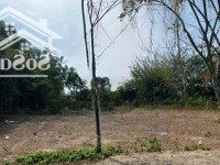 Ấp 5 Hòa Phú, Củ Chi Mặt Tiền Đường Dương Thị Tèn 1/ Sông Lu Vào 50Mdiện Tích25X60M = 1523M2 Thổ Cư 300M