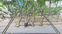 Bán Nr 4 Phòng Ngủ 5 Vệ Sinh 55M2 Tại Đường Nguyễn Sỹ Sách, P15, Q Tân Bình, 14 Tỷ Giá Tốt