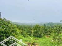 Gấp 1914M2 (40X45M) Sẵn 300 Thổ Cư, Đường Xe Hơi - 2Tỷ350
