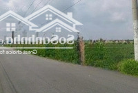 Đường Số 11 Tóc Tiên, Phú Mỹ Dt: 5X42X60 Thổ Cư, Đường Nhựa Đẹp Lung Linh