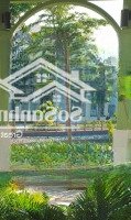 Chỉ 5 Tỷ Sở Hữu Liền Kề Mặt Công Viên, View Hồ, 3.5 Tầng 1 Hầm Rượu, Sẵn Sổ Đỏ Liên Hệ: 0333209992