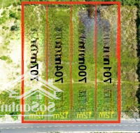 Bán Đất Mặt Tiền Đường Nhựa Hl62 700M2, Nở Hậu, Vị Trí Vàng Đầu Tư Chỉ Hơn 1 Tỷ