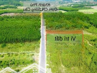 Bán Đất Mặt Tiền Đường Nhựa Hl62 700M2, Nở Hậu, Vị Trí Vàng Đầu Tư Chỉ Hơn 1 Tỷ
