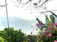 Bán Đất 5000M2 View Hồ Đẹp Tại Lòng Hồ Sông Đà, Tp Hòa Bình Phù Hợp Làm Homestay!