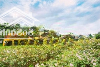 Bán Duy Nhất 01 Căn Siêu Rẻ, Diện Tích ~400M2 Giá Full Cả Nhà Chỉ 7,8 Tỷ Thôi Ạ. Liên Hệ: 0919558386