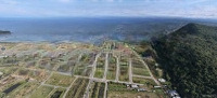 Bán Lô Góc Siêu Phẩm 198M2 Cực Kỳ Đẹp, Dự Án Nhà Ở Cán Bộ Vùng 5 Hải Quân, Giá Tốt