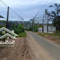 Bán Mặt Tiền Đường Nhựa, Đất Thổ Cư Ngang 10, Cây Nính, Phước Trạch, Gò Dầu, Tây Ninh