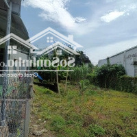 Bán Mặt Tiền Đường Nhựa, Đất Thổ Cư Ngang 10, Cây Nính, Phước Trạch, Gò Dầu, Tây Ninh