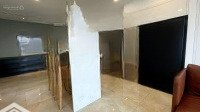 Chính Chủ Cho Thuê 3 Phòng Ngủ 2 Vệ Sinh 120M2 Tại Vinhomes Golden River Ba Son 50 Triệu