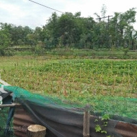 Gấp Gấp Điện Thắng Nam- Bán Nhanh Lô Đất Đường Ô Tô Thông, Giá Xả Lỗ 80 Trêu, Bán Nhanh Trong Tuần