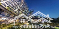 Hot! View Sông Đồng Nai, Căn 1Pn 1 Vệ Sinhthe Gió Riverside Mặt Tiền Vành Đai 3, Dk 1,6 Tỷ,Diện Tích41,3M2