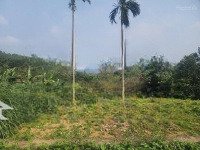 Gấp 1280M2. 300M2 Thổ Cư. Nam Phương Tiến, Chương Mỹ Hà Nội. Gia Đình Cần Bán. 0979174833 Ạ