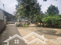 Gấp 1280M2. 300M2 Thổ Cư. Nam Phương Tiến, Chương Mỹ Hà Nội. Gia Đình Cần Bán. 0979174833 Ạ