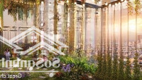 Chính Chủ Bán Nhanh Căn Hộ 1Pn+ 3,1X Tỷ, Tiện Ích 5*, Bể Bơi Vô Cực. View Biển Mỹ Khê & Đảo Sơn Trà